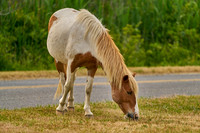 3_Virginia2021