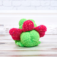 Froggies_2