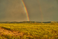 Rainbow1_DSC8801 1