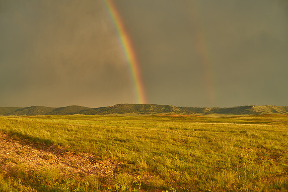 Rainbow1_DSC8801 1