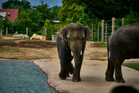 Denver Zoo