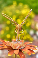 HummingbirdFlower3