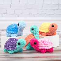 Turtle Club_1