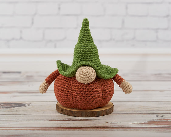 Gnome23_DSC0025