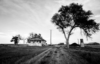 Brush CO_5010_DSC4899 1