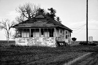 Brush CO_5009_DSC4897 1