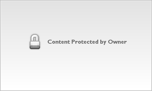 Debbie Shannon